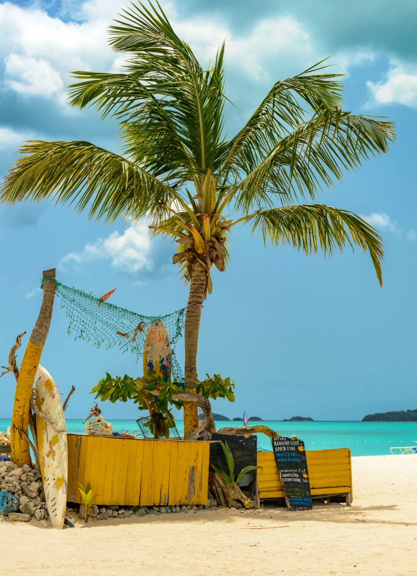 Rustic beach bar decorated with surfboards under a palm tree