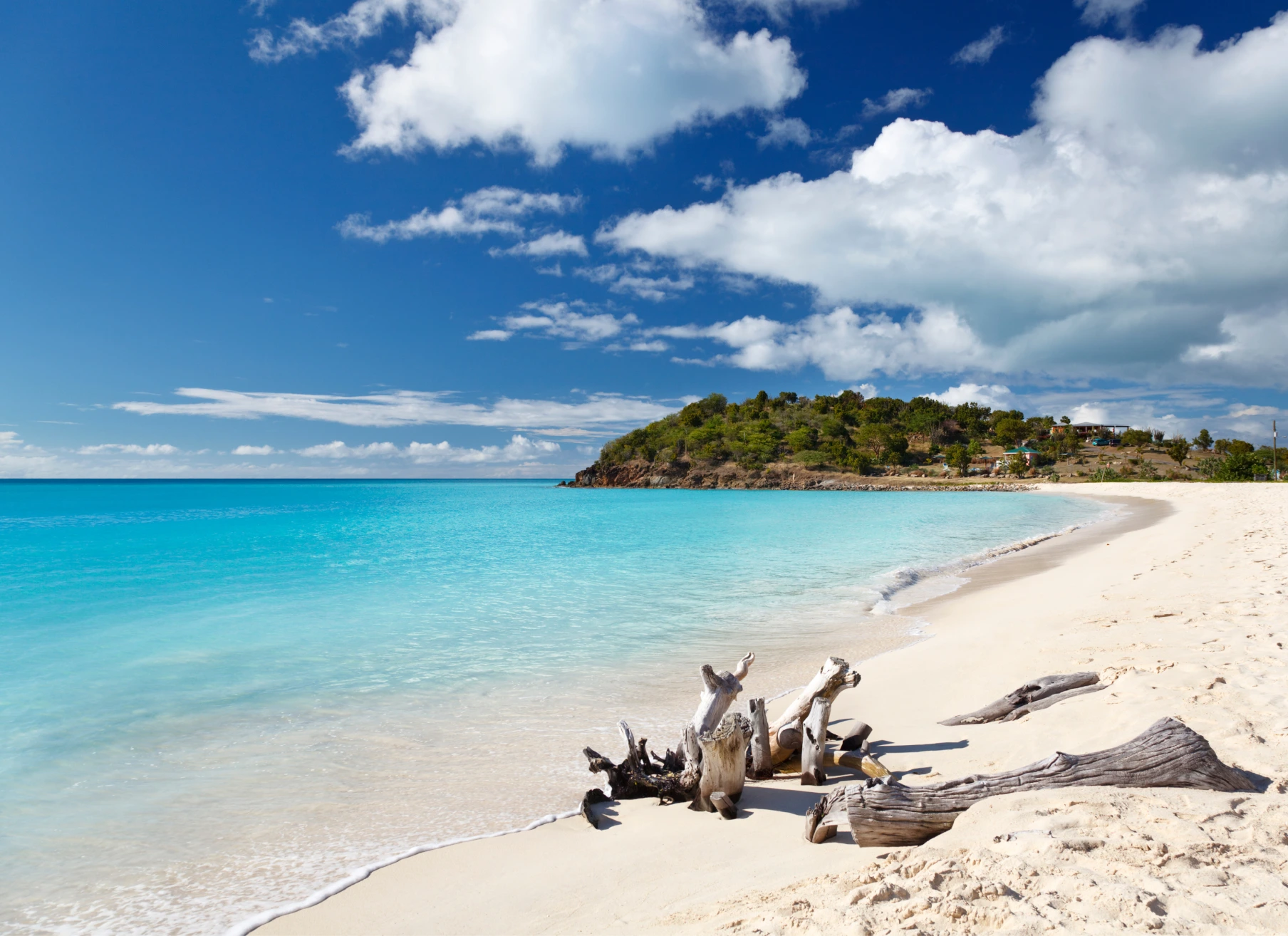 Driftwood on a white-sand beach beside a turquoise sea